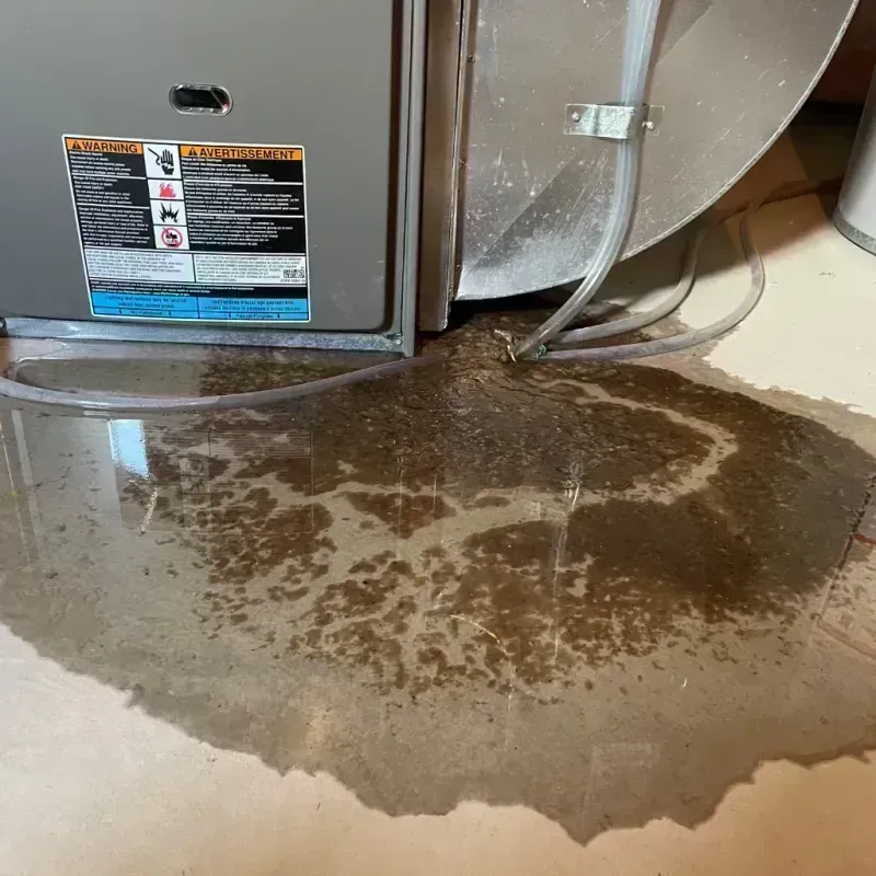 Appliance Leak Cleanup in Sauk County, WI